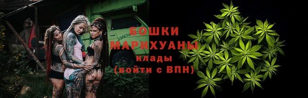 ГАЛЛЮЦИНОГЕННЫЕ ГРИБЫ Володарск
