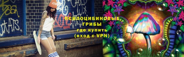 ГАЛЛЮЦИНОГЕННЫЕ ГРИБЫ Володарск