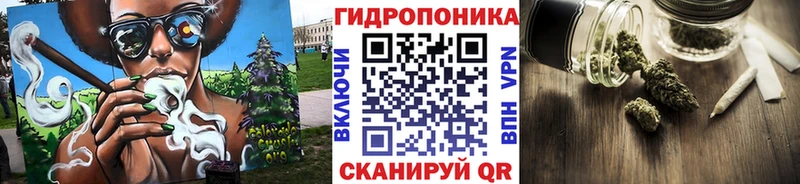 цена наркотик  Кандалакша  Шишки марихуана тримм 